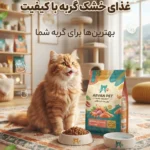 خرید غذای گربه