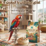 خرید غذای پرندگان